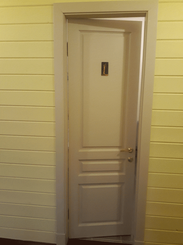 Сантехническая дверь установлена в ванной комнате в загородном доме